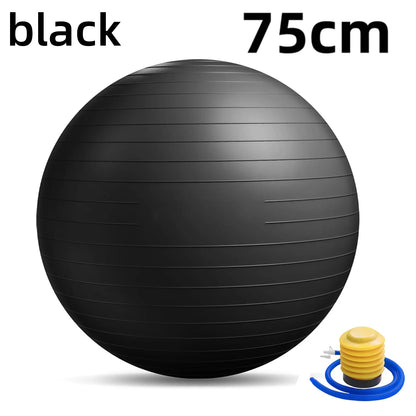 65cm yoga Ball Rehabilitation Basic Fitness equipment Explosion-Proof Protective Gear Fitness equipment Fitness equipment